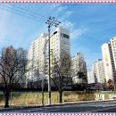 압량초어린이보호구역 이미지