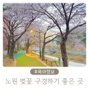 중계역 3번출구 | 노원 아기랑 벚꽃 구경하기 좋은 곳, 당현천 기억길 당현마루 화장실