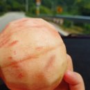 서대리농장 이미지