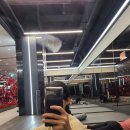 레이즈빌딩 이미지