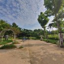 상록공원 게이트볼장 이미지