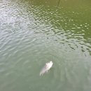 양벌낚시터 이미지