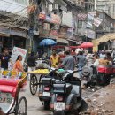 소들의 천국 이미지