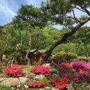 큰골민박 이미지