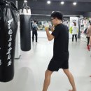 주짓수&킥복싱 쌍문탑짐 이미지