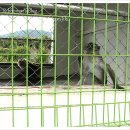 경산공룡박물관 이미지