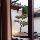 서소한가