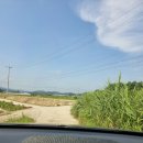 단재고등학교 | 충청북도 단재교육연수원 초등1정 연수 강의 후기