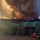 안태초등학교 이미지