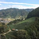 우지농장 이미지