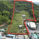 대동면사무소 이미지