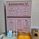 아지트댕댕 이미지