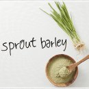 홍제으뜸경희한의원 이미지