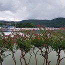 보문호반길 이미지