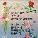 아름다운삶 이미지