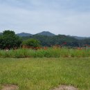 화랑골프랜드 이미지