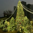 (12/13)크리스마스 미니트리 | 스누피와 함께하는 제이닷트리 크리스마스 팝업 후기 포토존 가득