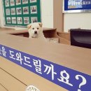 꽃잎들