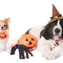 송도우리아이병원 이미지