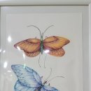 색연필 일러스트(초급) 이미지