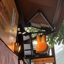 수키친 | [교토] 미피 빵을 먹을 수 있는 미피 사쿠라 키친 내돈내산 방문후기!