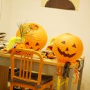 다다다펫그루밍 이미지