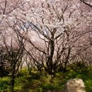 화개119지역대 이미지