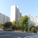 푸른솔초등학교 이미지