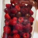 기철농장 이미지