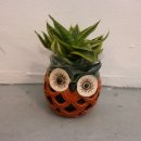 회원동149 이미지