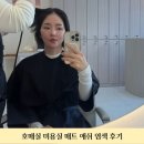 금곡로 | 수원 금곡동 미용실 화사헤어룸에서 매트애쉬 염색한 솔직후기