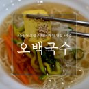 오백국수 | 대전 시청역 혼밥 맛집 l 잔치국수 잘하는 오백국수 내돈내산 후기