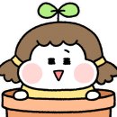 스콜라몬테소리 이미지