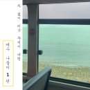 백야해안길65 여수농협화정지소창고부터 백야해안길73 백야도여객선대기실 | [여수백야도 선착장 가는 법] 하화도 섬여행 추천