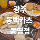 [광주 동명동 맛집] 치즈카츠가 맛있었던 동백카츠 동명점 솔직후기