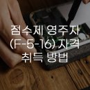 F-5 티스토리