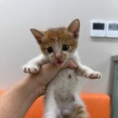 다시면 복지회관 이미지