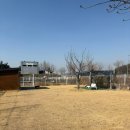 경주 건천 비상 3 | [경주/숙소] 경주 건천 대구 근교 애견동반 개별운동장 독채 펜션, 앙꼬집
