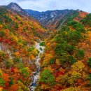 11월 중순까지만 열리는 가을 단풍 트레킹 성지 이미지