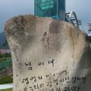 산청산양삼