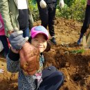 박영호농장 이미지