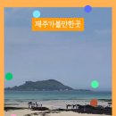 협재별지기 이미지