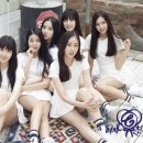 디알컴퍼니(DR company) 네이버블로그