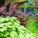 청비농장 이미지