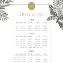 더펫 네이버블로그