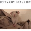 심페소생술 이미지