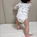 P&G 소프트 | 팸퍼스 낮밤기저귀! 엔젤브리즈 소프트팬티, 통잠팬티 한달 사용 후기, 제주도 여행 꿀팁