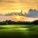 엘리시안 제주 골프연습장 이미지