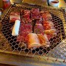 성환애견백화점 이미지