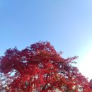 옛철길공원 이미지